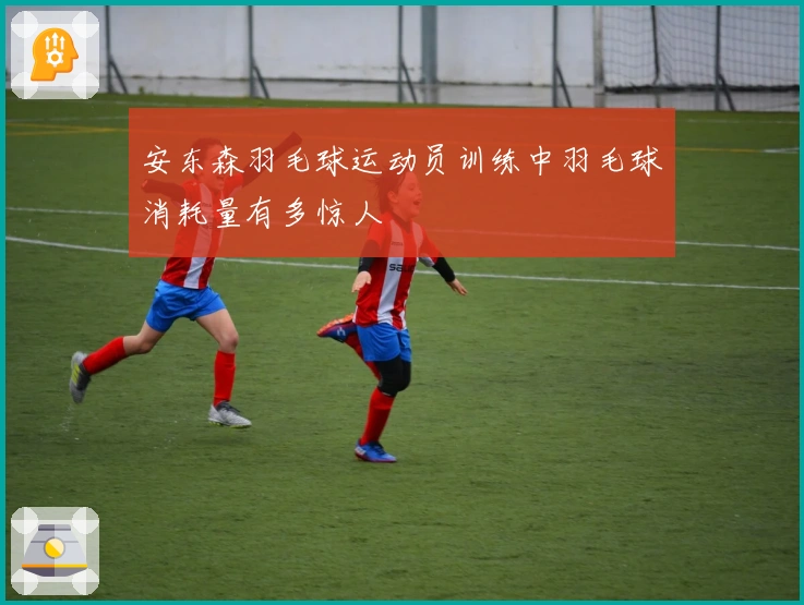 安东森羽毛球运动员训练中羽毛球消耗量有多惊人