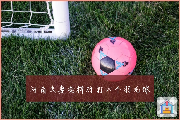 河南夫妻花样对打六个羽毛球