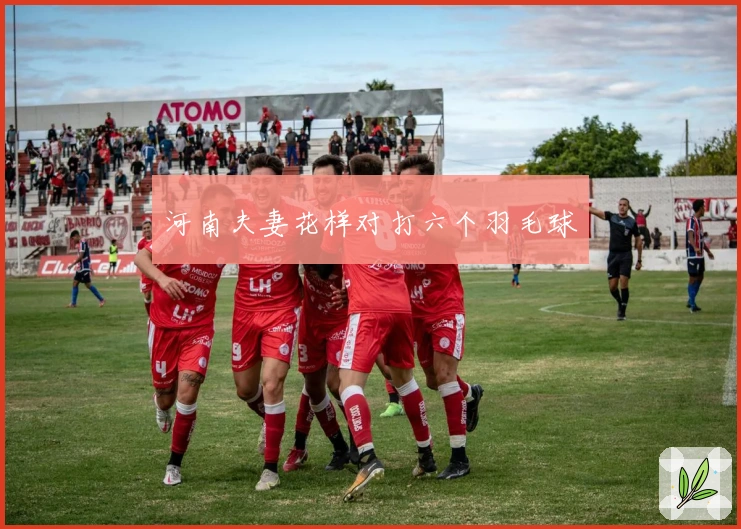 河南夫妻花样对打六个羽毛球